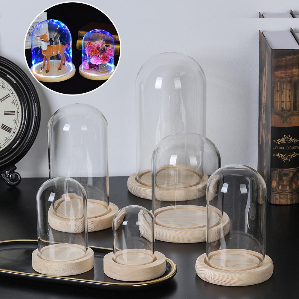 Reusable Bottle - Lichterketten-Pflanzen, transparente Glasflasche, Terrarium, Holzsockel, Glasglocke,