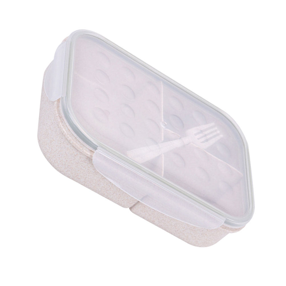 1 Set nachhaltige Lunchbox im  – Reusable Straw Bewertung und Preis
