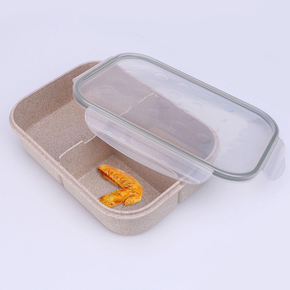 1 Set nachhaltige Lunchbox im  – Reusable Straw Bewertung und Preis