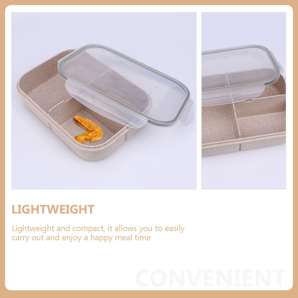 1 Set nachhaltige Lunchbox im  – Reusable Straw Bewertung und Preis