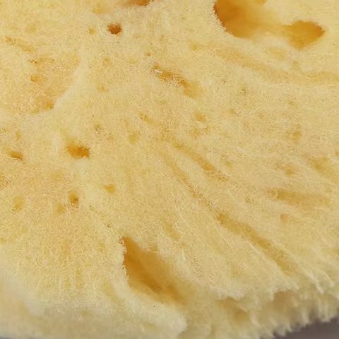 Spezielle Textur Produktion Re – Eco Sponge Bewertung und Preis