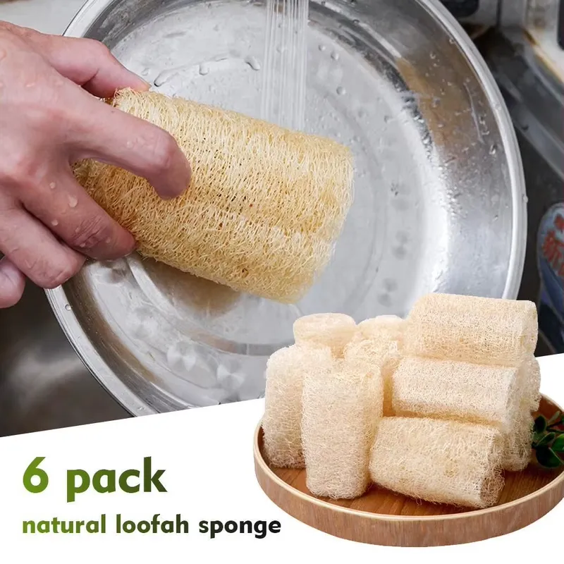 2026 Neueste Natürliche Luffa- – Eco Sponge Bewertung und Preis